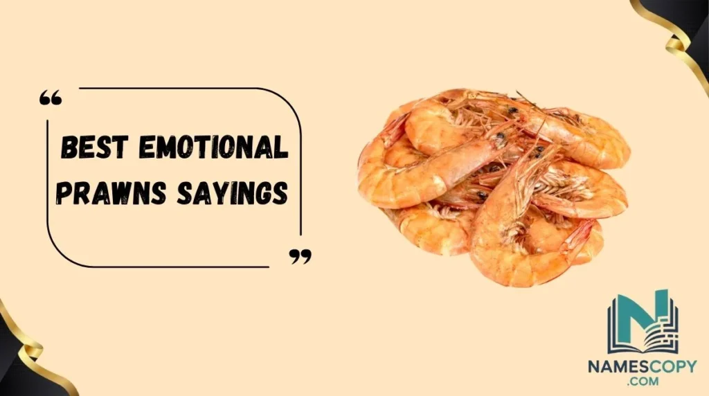 Best Emotional Prawns Sayings