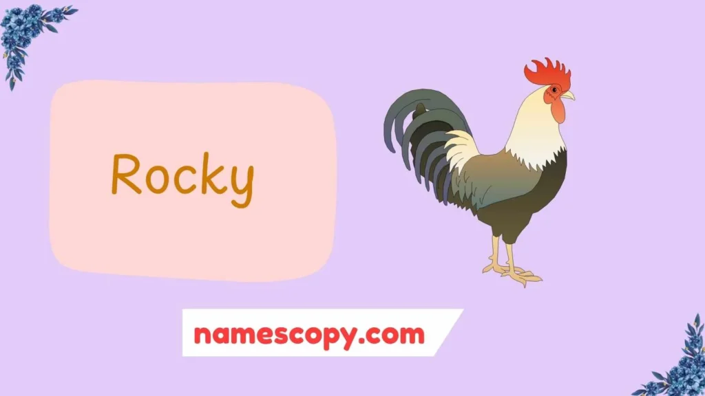 Boy Chicken Names