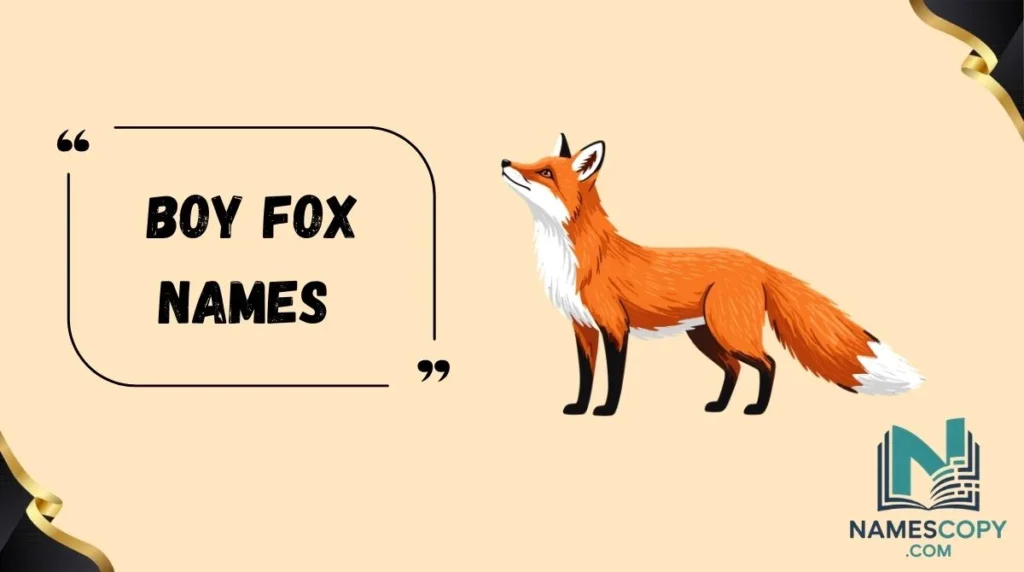 Boy Fox Names