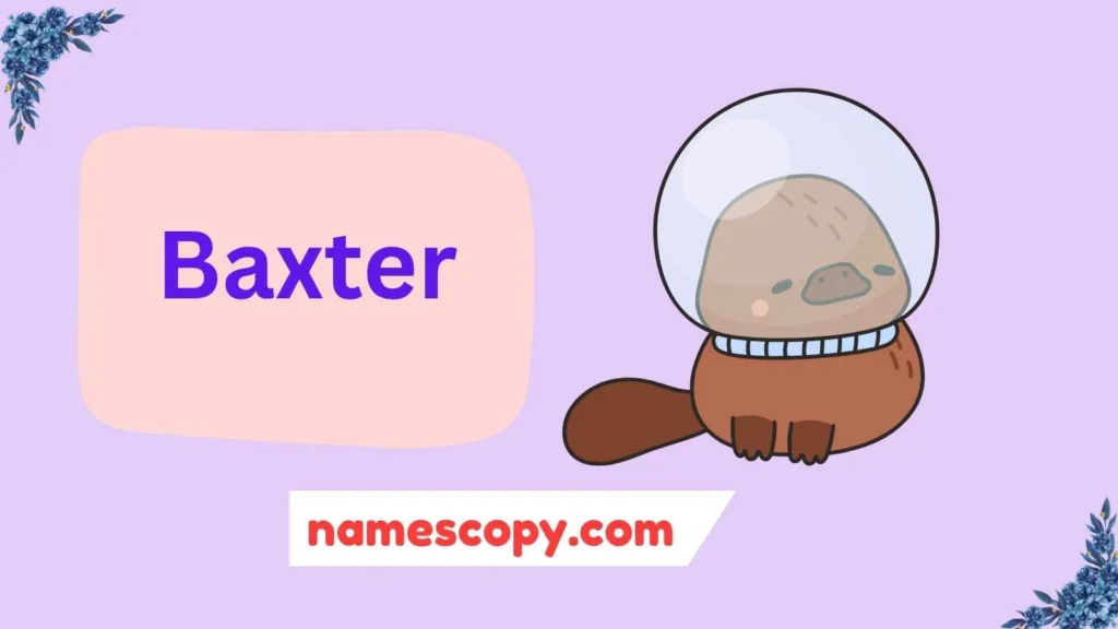 Boy Platypus Names