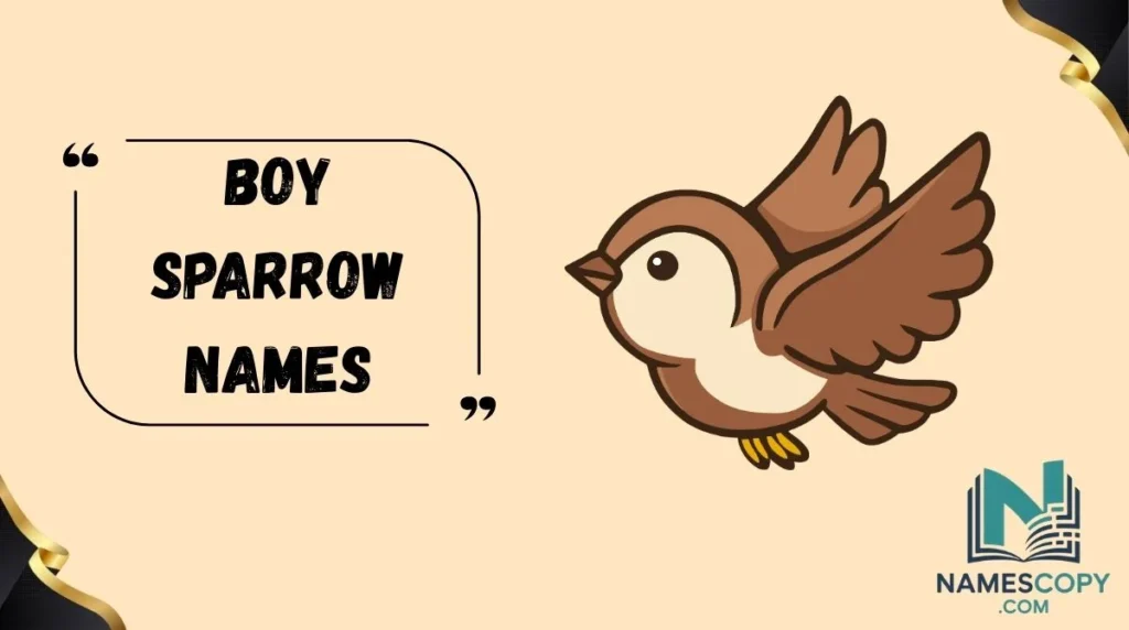 Boy Sparrow Names