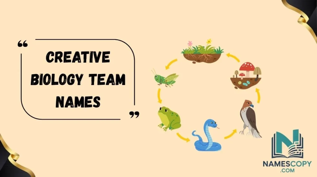 Creative Biology Team Names