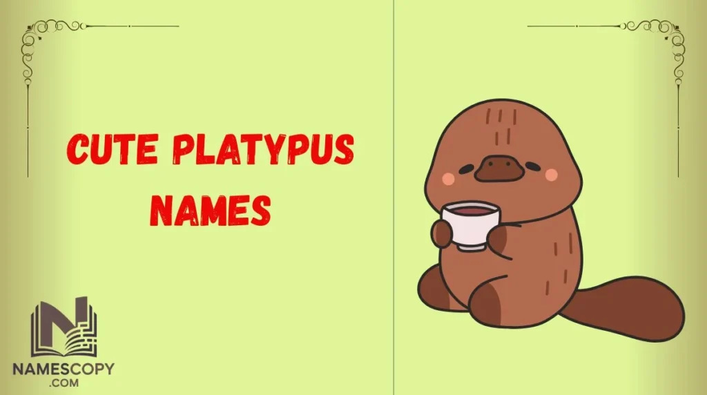 Cute Platypus Names