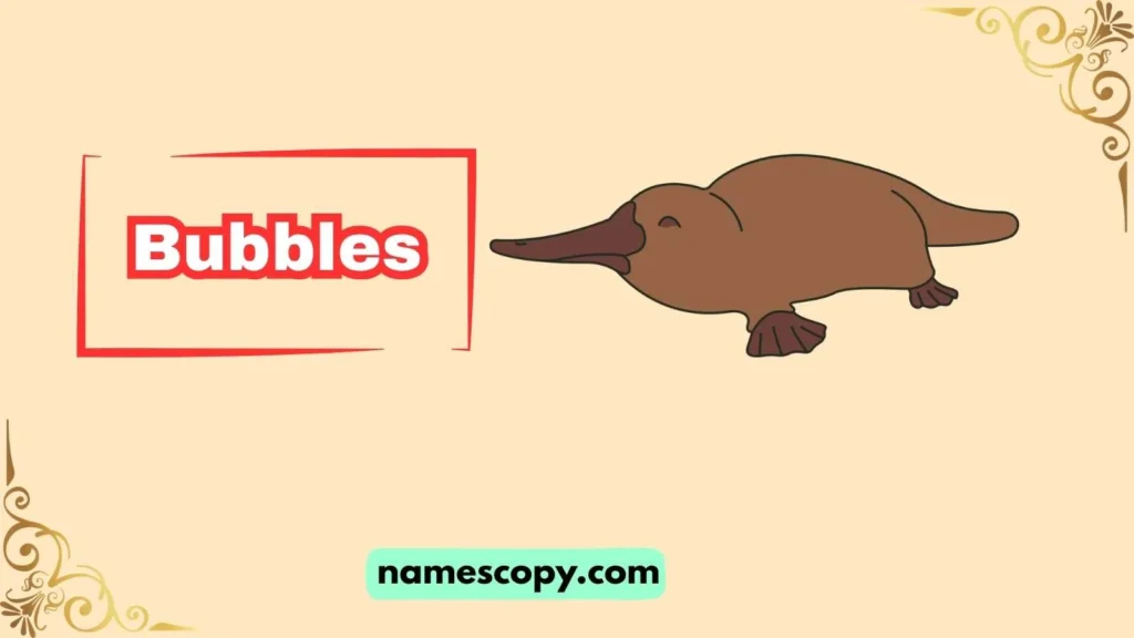 Cute Platypus Names