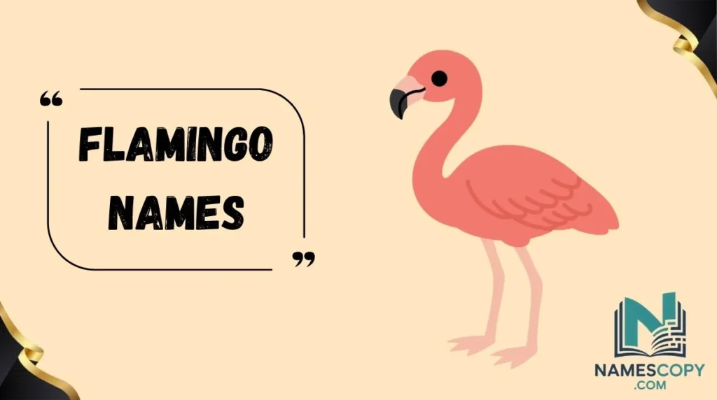Flamingo Names