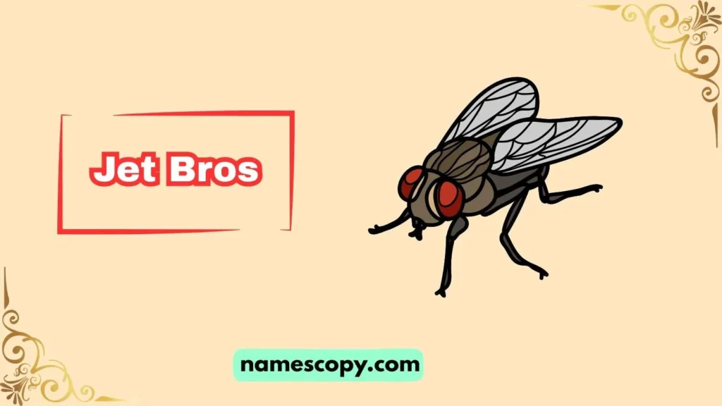 Fly Names for Boys