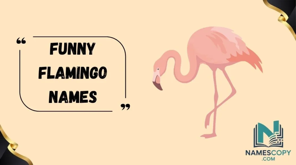 Funny Flamingo Names