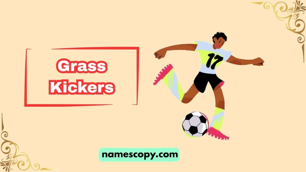 Funny Soccer Team Name Generator Ideas