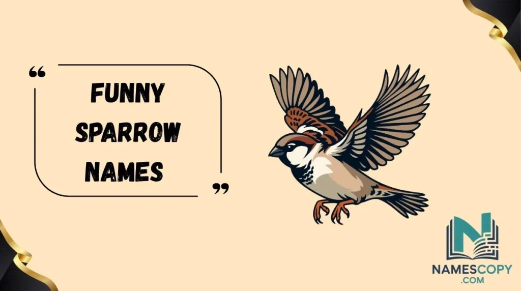 Funny Sparrow Names