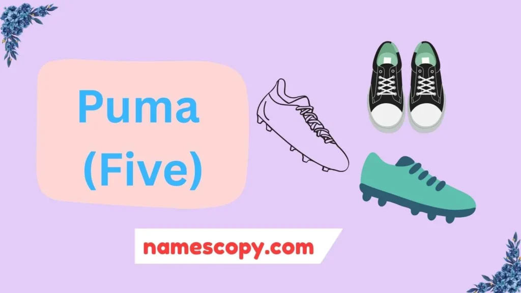 Indoor / Futsal Brands