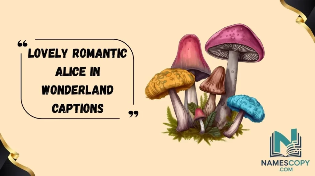 Lovely Romantic Alice in Wonderland Captions