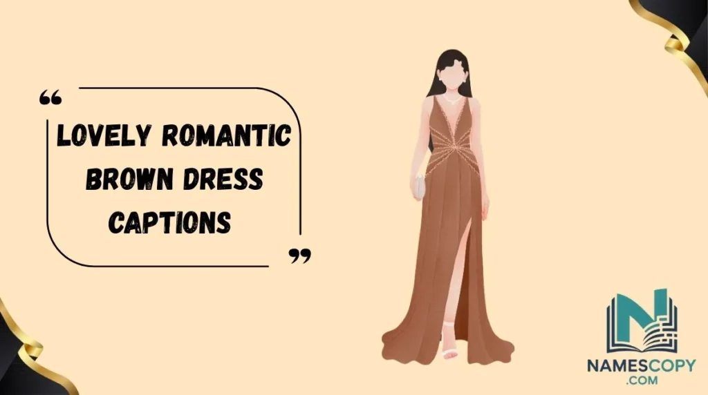 Lovely Romantic Brown Dress Captions