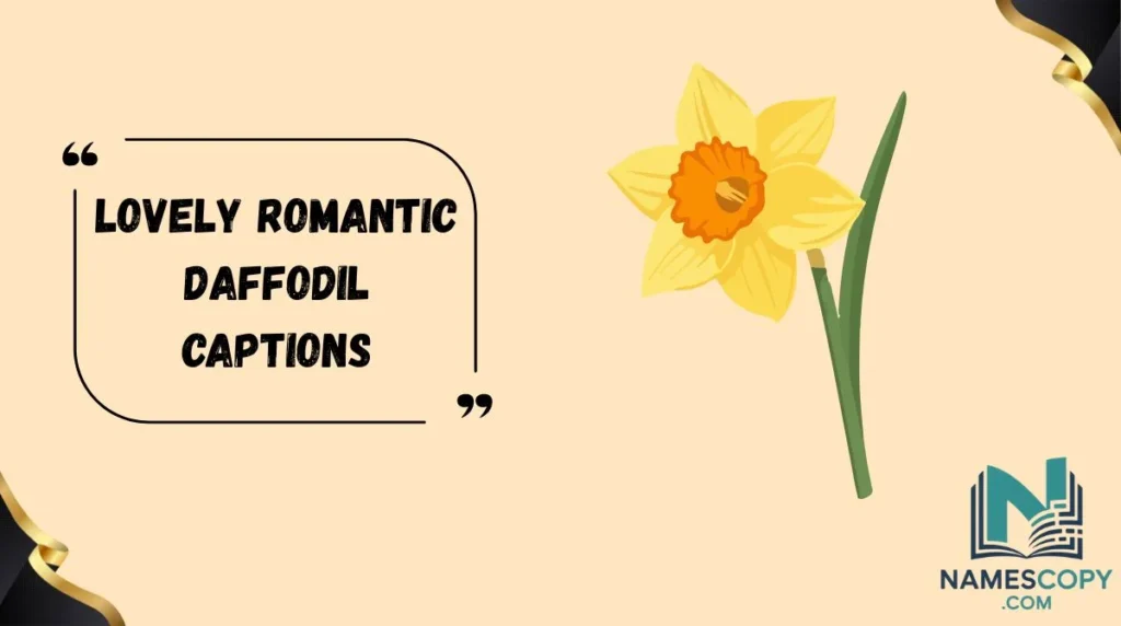 Lovely Romantic Daffodil Captions