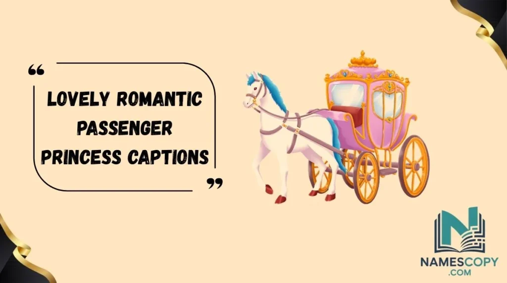 Lovely Romantic Passenger Princess Captions