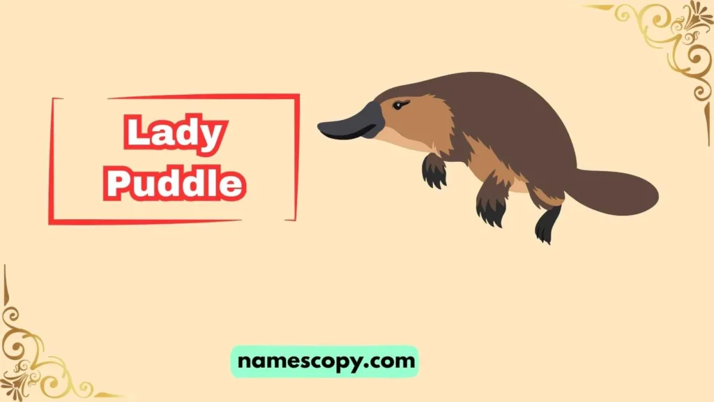 Platypus Names for Girls