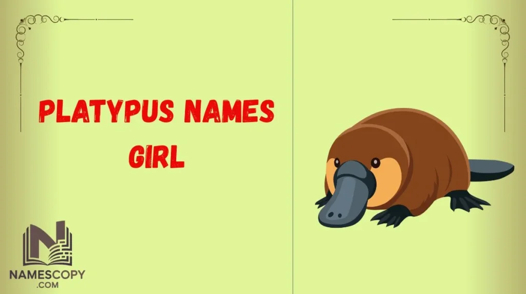 Platypus Names Girl