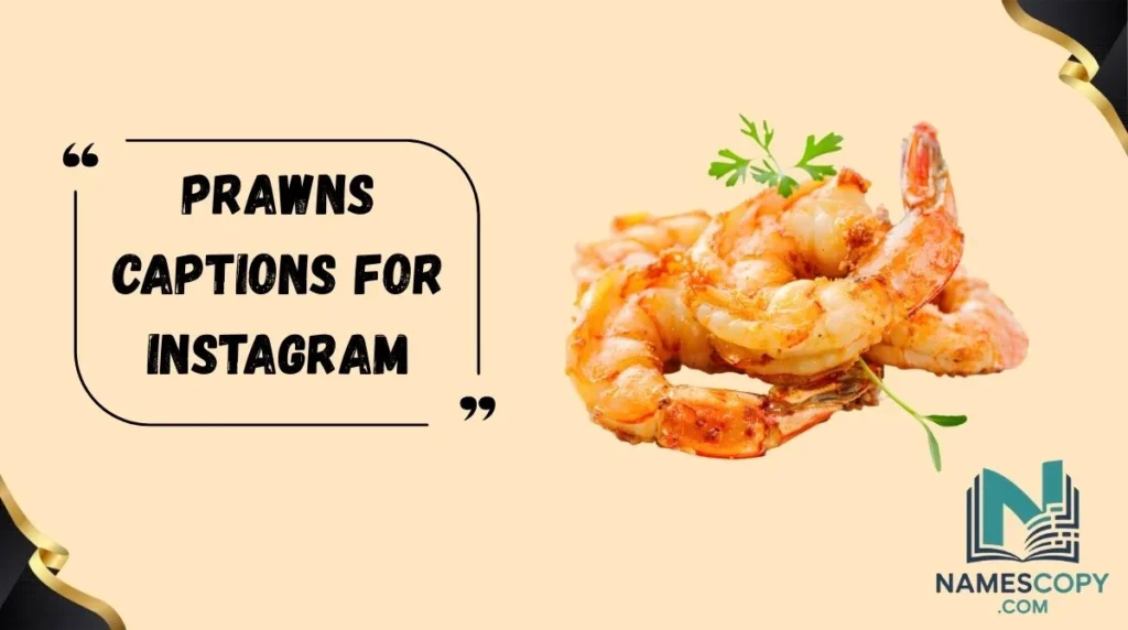 Prawns Captions for Instagram