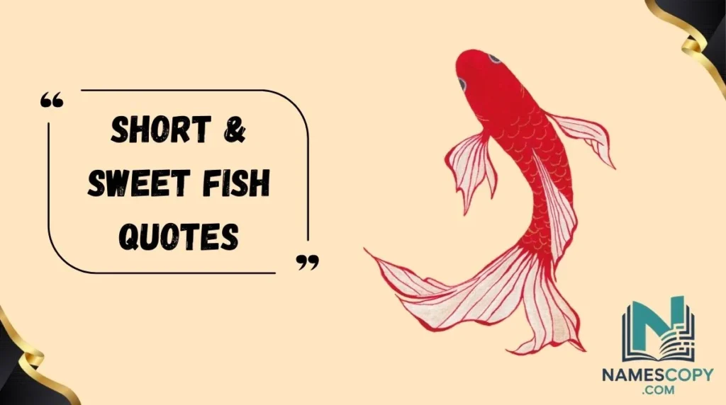 Short & Sweet Fish Quotes