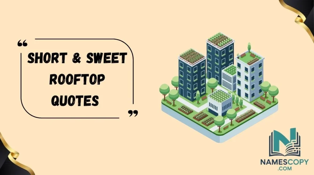 Short & Sweet Rooftop Quotes