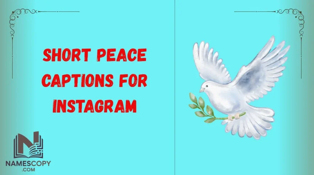 Short Peace Captions for Instagram