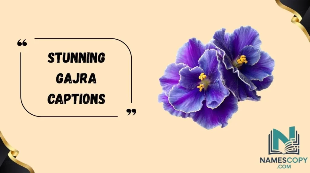 Stunning Gajra Captions