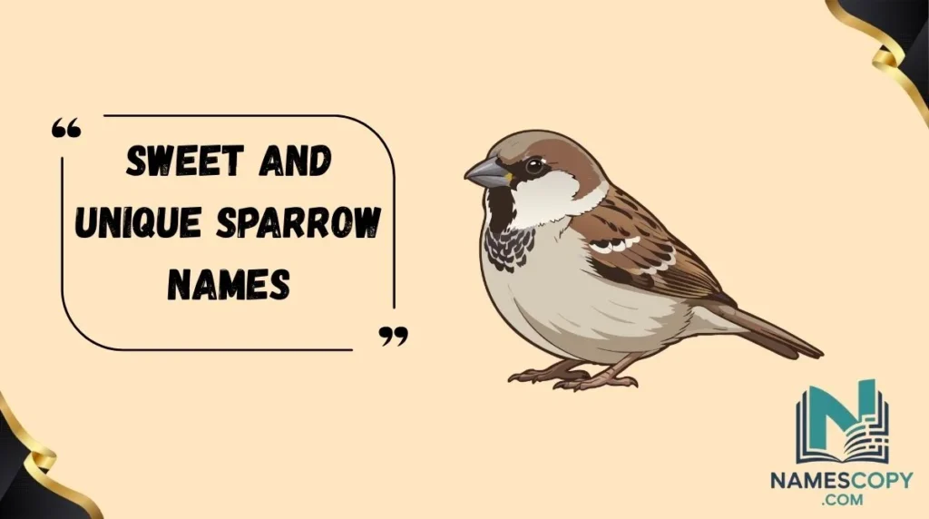 Sweet and Unique Sparrow Names