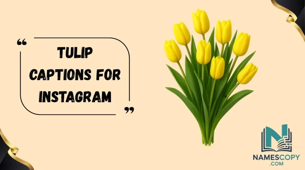 Tulip Captions for Instagram