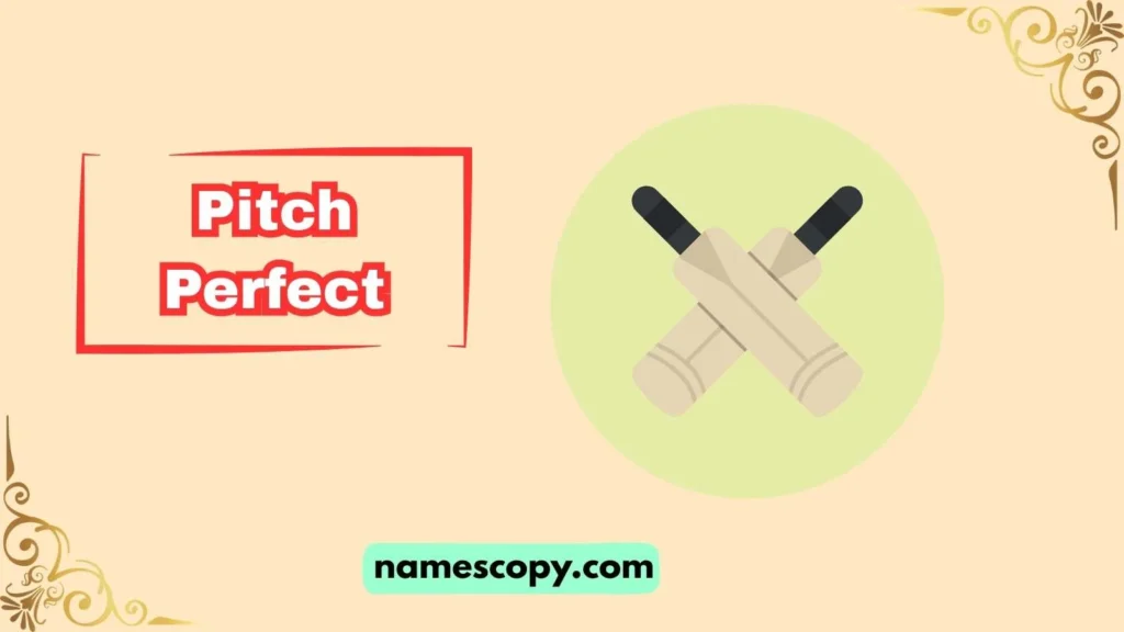 Unique Cricket Team Names for Winners