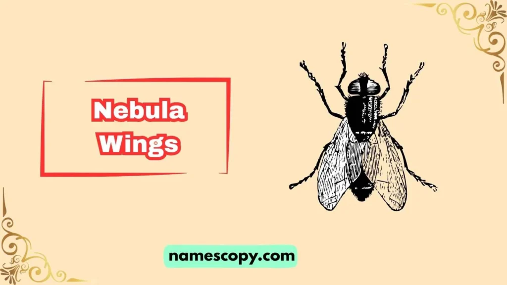 Unique Fly Names