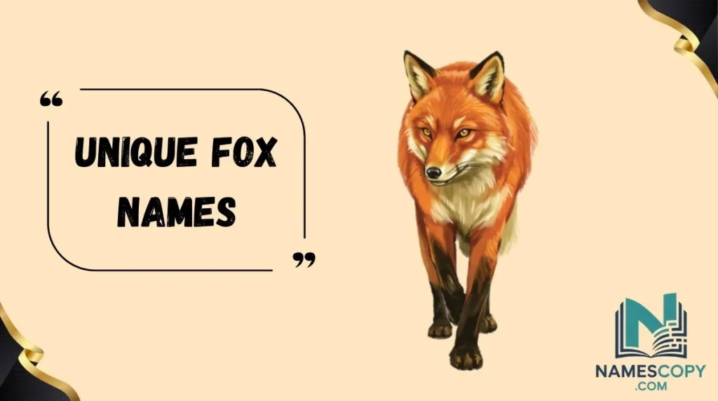 Unique Fox Names