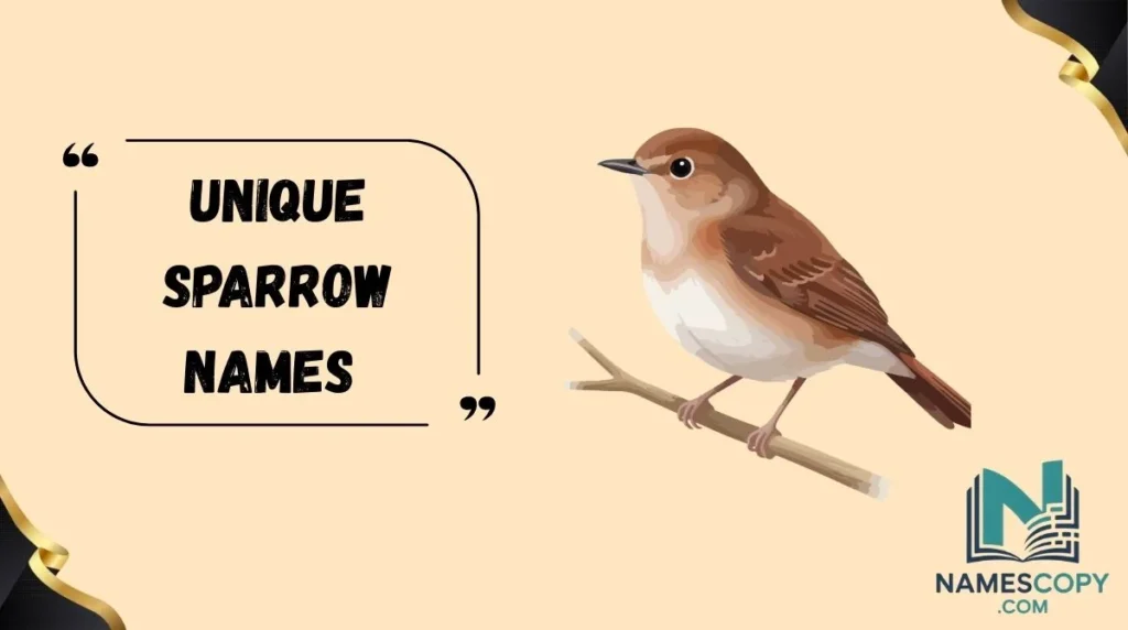 Unique Sparrow Names