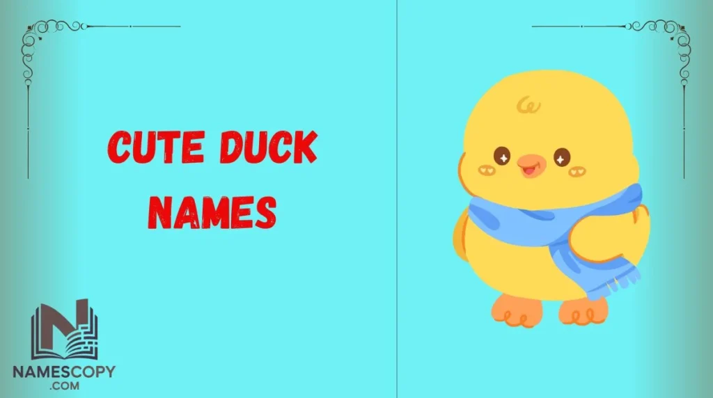 Cute Duck Names