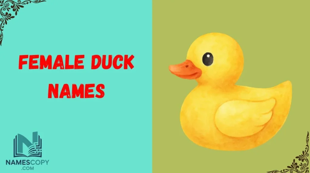 Female Duck Names