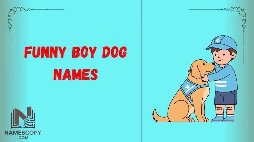 Funny Boy Dog Names