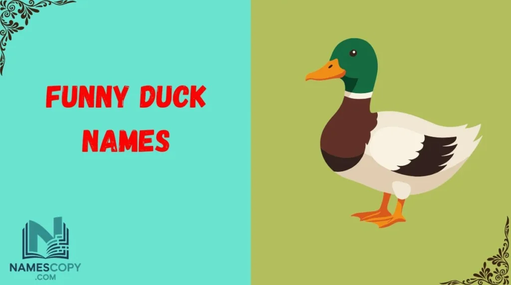 Funny Duck Names