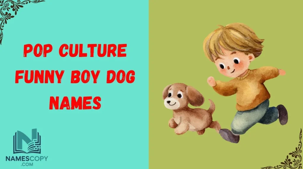 Pop Culture Funny Boy Dog Names