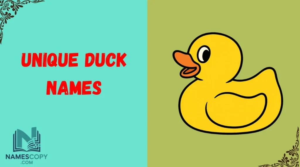 Unique Duck Names