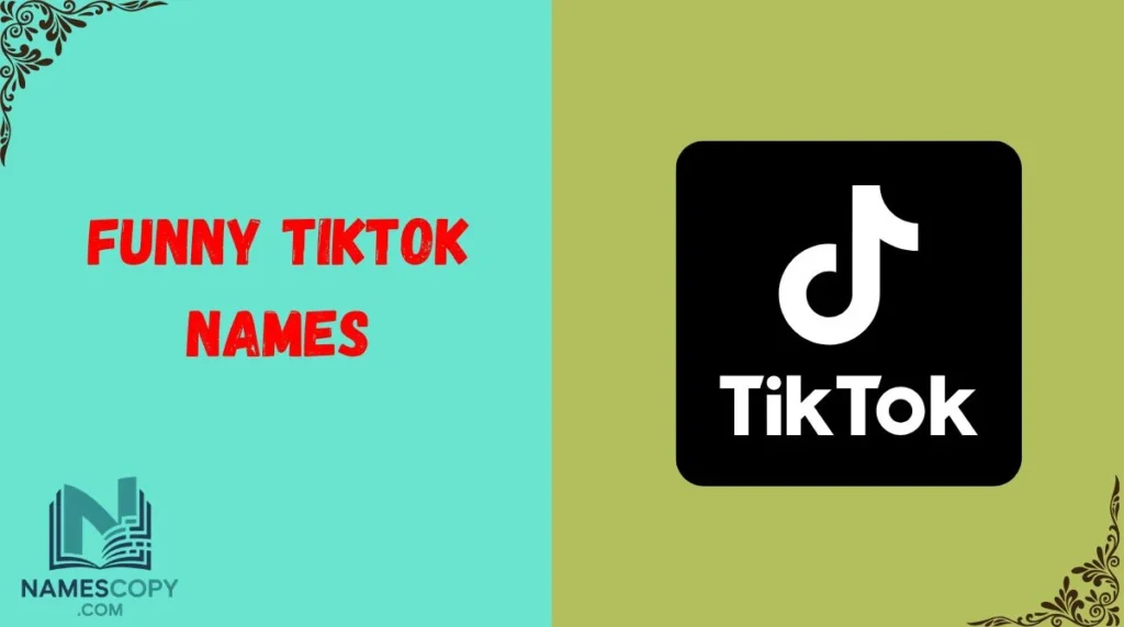 Funny TikTok Names